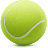 Logo Tenis & Padel klub Písečná